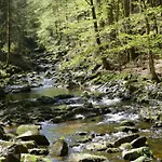 Familienappartement Marianne Mit Pool Und Sauna Appartement Freyung